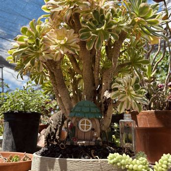 Aeonian Verde Nursery - Nurseries & Gardening Near Me - Bell Gardens, California