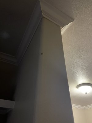 Grand Venetian by null