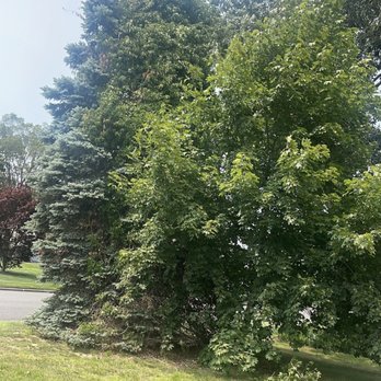 Team Smith Tree Service - Tree Services Near Me - Shirley , New York Team Smith Tree Service - Tree Services Near Me - Shirley , New York