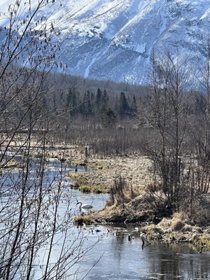 Eagle River Nature Center by null