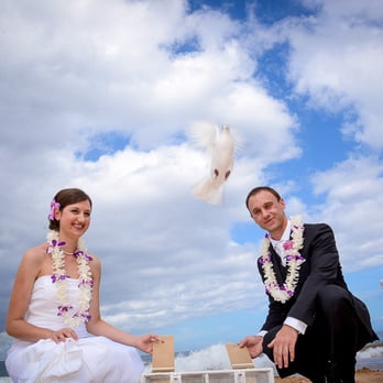 Maui Wedding Adventures - dove release - Wedding Planning Near Me Maui Wedding Adventures - dove release - Wedding Planning Near Me