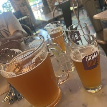 Bawk! by Urban Roots - Pitcher of beer. $18 for happy hour!!! - Chicken Shop Near Me - Sacramento, California