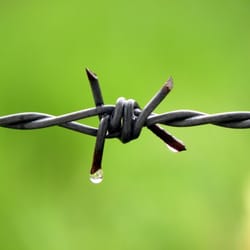 Trailblazer Landscape Maintenance