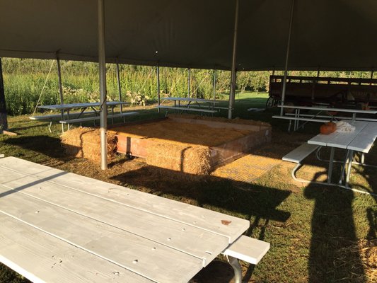 Coleman's Farm - Saline by null