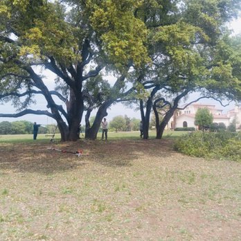 Jaimes Tree Service - Tree Services Near Me Jaimes Tree Service - Tree Services Near Me