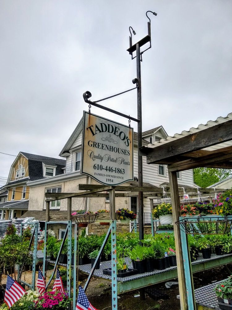 TADDEO’S GREENHOUSES Updated May 2024 26 Photos & 20 Reviews 2326