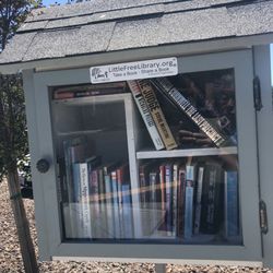 Little Free Library - Standing alone on an empty lot.