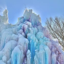 Veal's Ice Tree