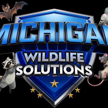 Michigan Wildlife Solutions - Pest Control Near Me - Fenton, Michigan Michigan Wildlife Solutions - Pest Control Near Me - Fenton, Michigan