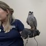 Photo of Wild Birds Unlimited