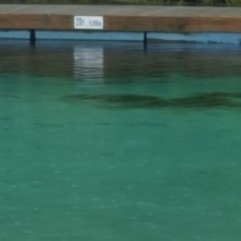 Weeki Wachee Springs - Amusement Parks Near Me - Spring Hill, Florida Weeki Wachee Springs - Amusement Parks Near Me - Spring Hill, Florida