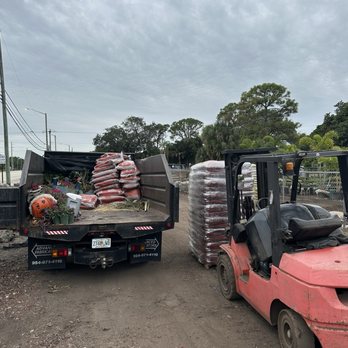 MGH Landscaping - Tree Services Near Me - Lake Worth, Florida MGH Landscaping - Tree Services Near Me - Lake Worth, Florida