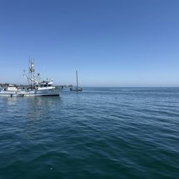 Out on the Bay