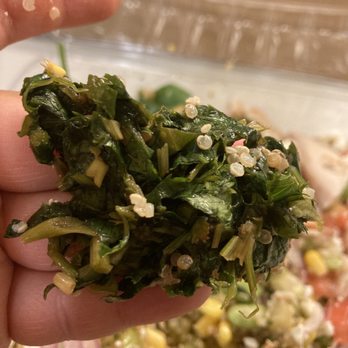 Beach Hut Deli - Super Salad- cilantro - Salad Near Me - Rocklin, California Beach Hut Deli - Super Salad- cilantro - Salad Near Me - Rocklin, California