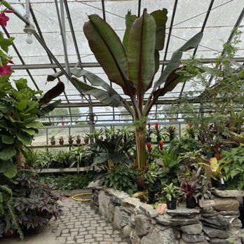 Peckham's Greenhouse - Nurseries & Gardening Near Me - Little Compton, Rhode Island Peckham's Greenhouse - Nurseries & Gardening Near Me - Little Compton, Rhode Island