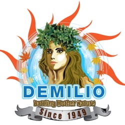 Demilio Inc - Demilio Heating and Cooling always battling Mother Nature.