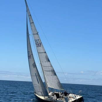 Murrell Yachts - J100 sailboat - Boat Dealers Near Me - Torrance, California Murrell Yachts - J100 sailboat - Boat Dealers Near Me - Torrance, California
