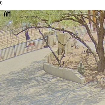 FedEx - Fed x delivery person not delivery box - Couriers & Delivery Services Near Me - Phoenix, Arizona FedEx - Fed x delivery person not delivery box - Couriers & Delivery Services Near Me - Phoenix, Arizona