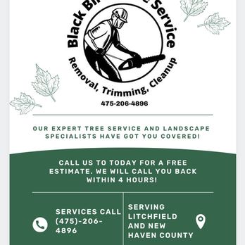 Black Birch Tree Service - Storm cleanup available! Call for a free estimate. - Tree Services Near Me Black Birch Tree Service - Storm cleanup available! Call for a free estimate. - Tree Services Near Me