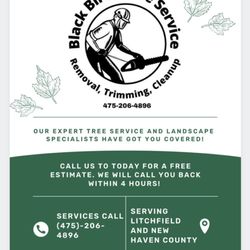 Black Birch Tree Service - Storm cleanup available! Call for a free estimate.