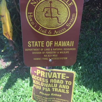 Pu'u Pia Trail - Next time I'm going on the trail on the right. - Hiking Near Me - Honolulu, Hawaii