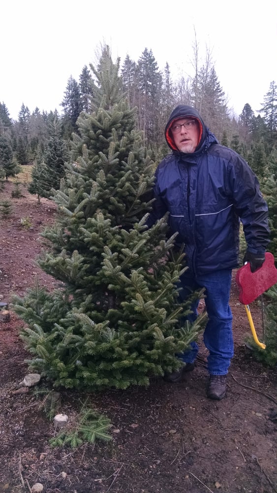 COX CHRISTMAS TREE FARM Updated September 2024 40605 Meridian E