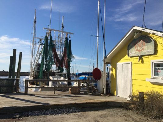 Potter's Seafood by null