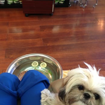 Joy Joy Nail - Amazingly peaceful and relaxing pedicure with my best buddy Gigi! - Nail Salons Near Me - San Francisco, California