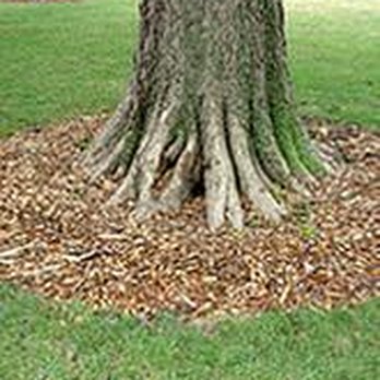 Arbor-Tech Tree Care - untitled - Tree Services Near Me - Dryden, Michigan