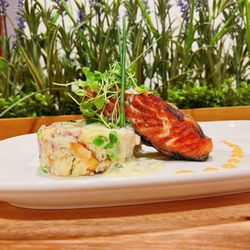 Latin and Asian Hospitality Group - Plated salmon with a nice white wine sauce