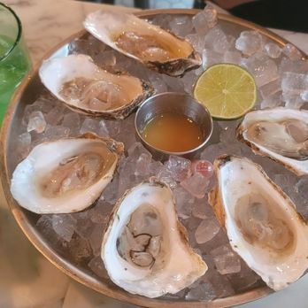 Otto’s High Dive - Oysters raw half dozen - Cocktail Bars Near Me - Orlando, Florida Otto’s High Dive - Oysters raw half dozen - Cocktail Bars Near Me - Orlando, Florida