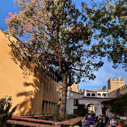 Real Alcázar de Sevilla - Anstehen am Eingang (05/2026)