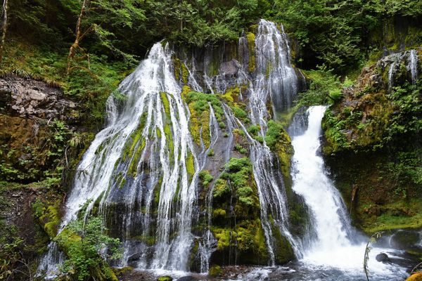 Panther Creek Falls by null