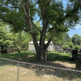 Redd's Tree Service - Neighbors yard . - Tree Services Near Me - Little Rock, Arkansas Redd's Tree Service - Neighbors yard . - Tree Services Near Me - Little Rock, Arkansas