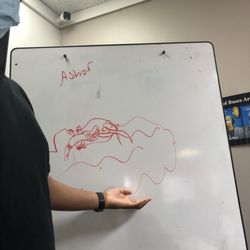 1 Stop Better Driving School - Drunk goggles art