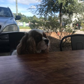Craft Kitchen - Hanging out with Maddie and trying Craft Kitchen ! - Gastropubs Near Me - Bluffton, South Carolina