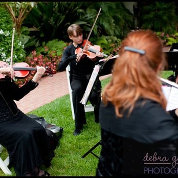 The Aurora Ensemble - Musicians Near Me