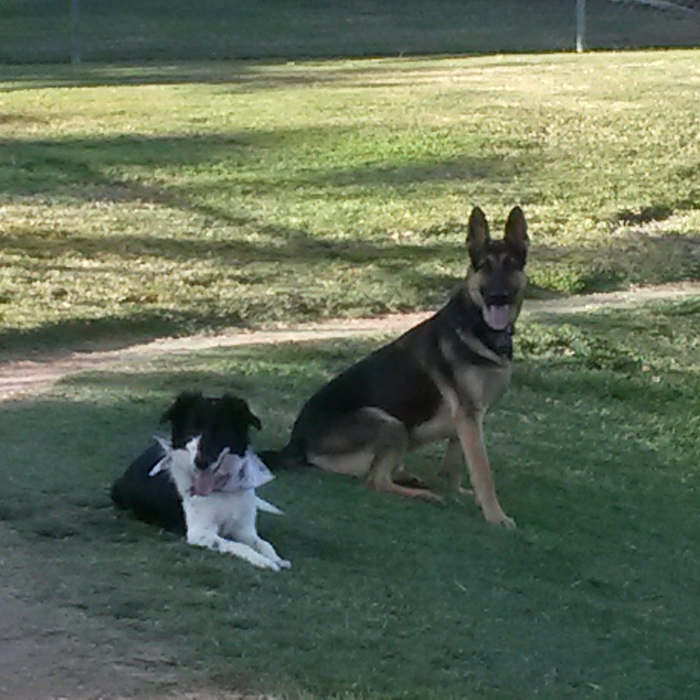 Kroll Park - Best buds since puppy class! - Playgrounds Near Me - Bakersfield, California Kroll Park - Best buds since puppy class! - Playgrounds Near Me - Bakersfield, California