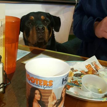 Hooters - Sports Bars Near Me - Yuma, Arizona Hooters - Sports Bars Near Me - Yuma, Arizona