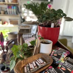The 5th Street Market & Nursery - Plants, chapstick, drink sleeve