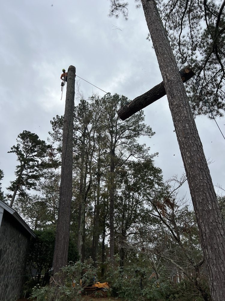 Apex Tree Service - tree service in Atlanta, GA