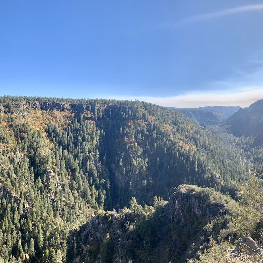 Coconino National Forest - Public Services & Government Near Me - Flagstaff, Arizona Coconino National Forest - Public Services & Government Near Me - Flagstaff, Arizona