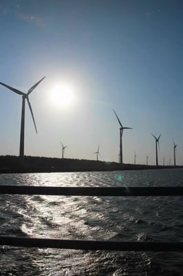 Gaomei Wetlands by null