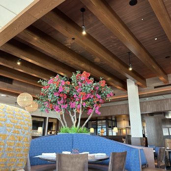 Seasons 52 - New American Near Me - Rancho Cucamonga, California Seasons 52 - New American Near Me - Rancho Cucamonga, California