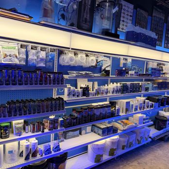 AquaHaus - Aquarium Services Near Me - Springfield, Virginia AquaHaus - Aquarium Services Near Me - Springfield, Virginia