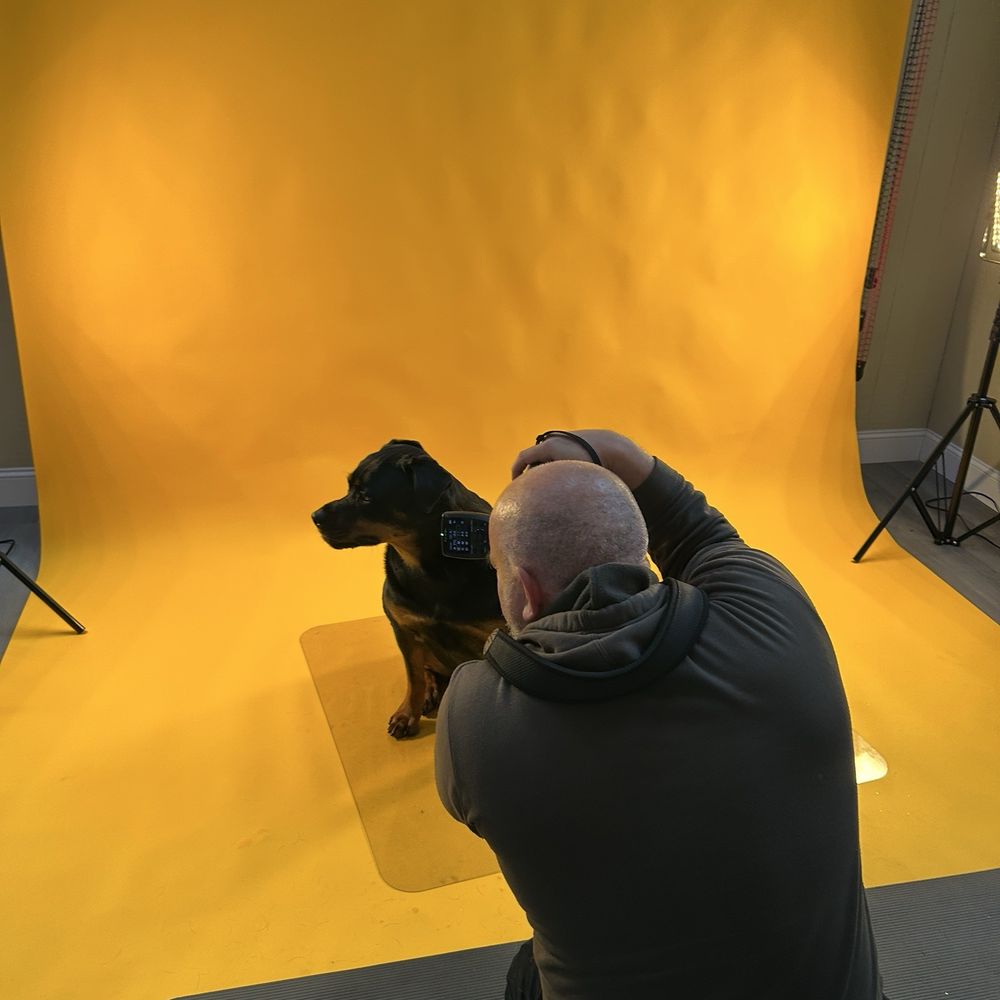 Valcohen Photography - BTS of a pet session with our rottie - Session Photography Near Me - Martinez, California Valcohen Photography - BTS of a pet session with our rottie - Session Photography Near Me - Martinez, California