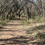 Photo of Fairbank Historic Townsite