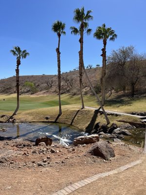 Reflection Bay Golf Club by null