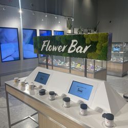 Insa Cannabis Dispensary