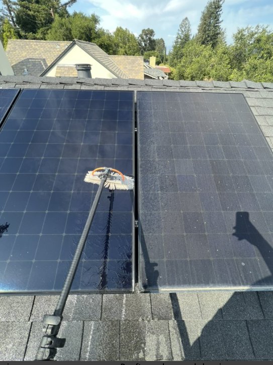 Slide of Emilio Torres